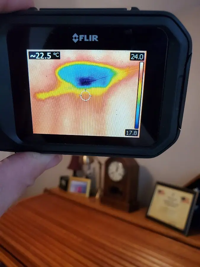 Thermal imaging inspection for water damage in Hanover